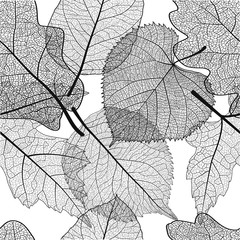 Sierkussen Bladnerven patronen Decoratief bladmotief grafische stijl  © O.Yu
