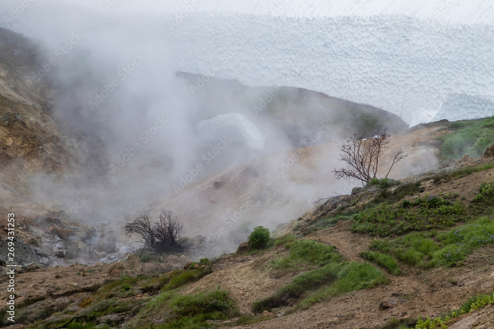 A small valley of geysers near the Mutnovsky geo power station in Kamchatka