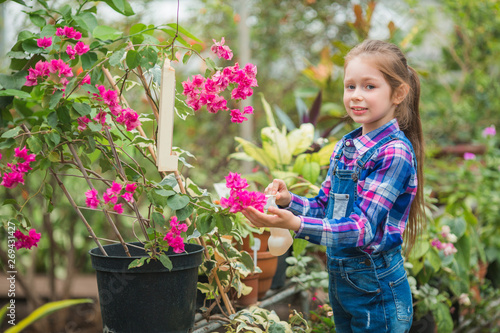 beautiful little girl in a greenhouse garden caring for flowering plants © Alexandr