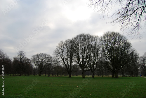 Walking through the parks of London