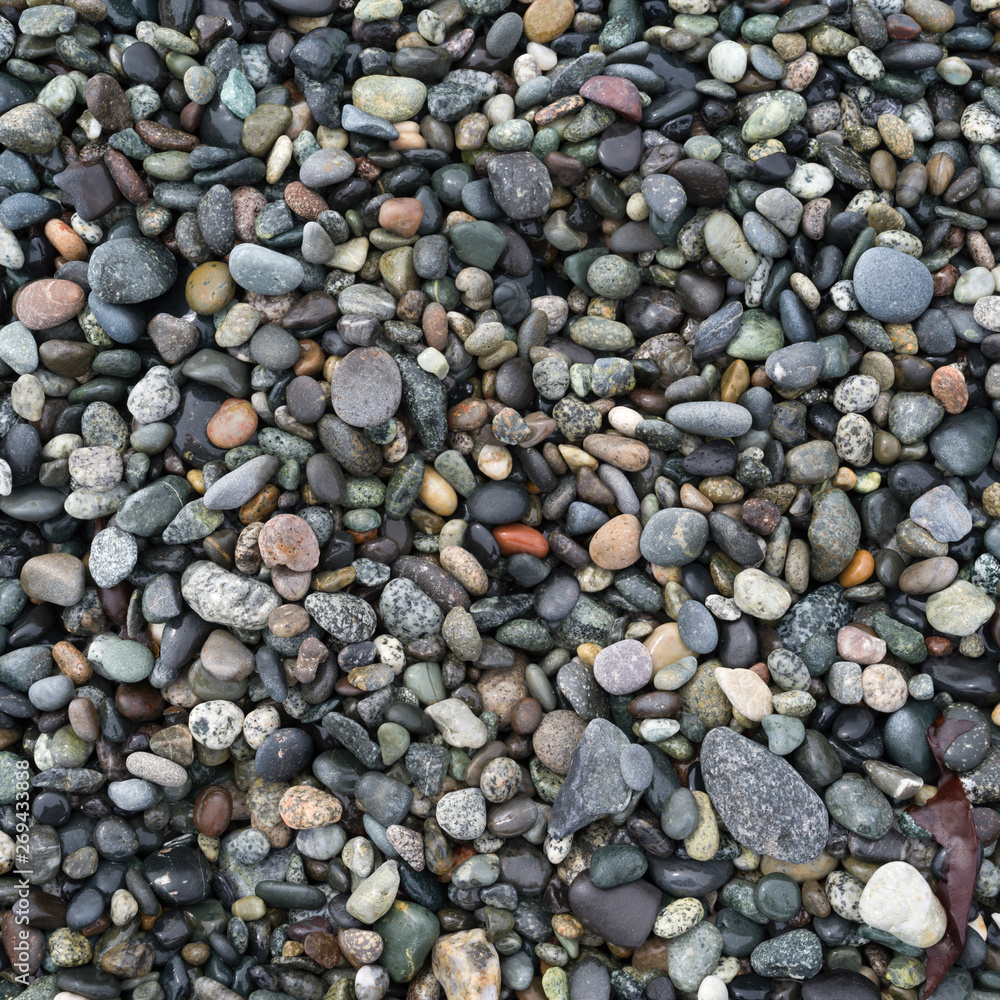 High angle view of pebbles on Spiral Beach, Victoria, British Columbia, Canada High angle view of pebbles on Spiral Beach, Victoria, British Columbia, Canada