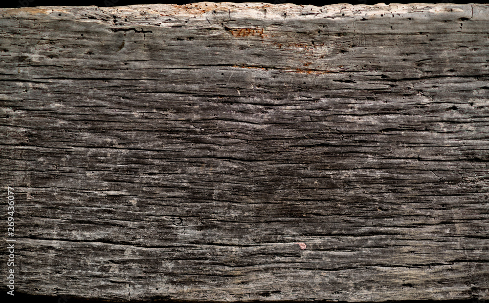 Old wooden background, old tree Old wooden background, old tree