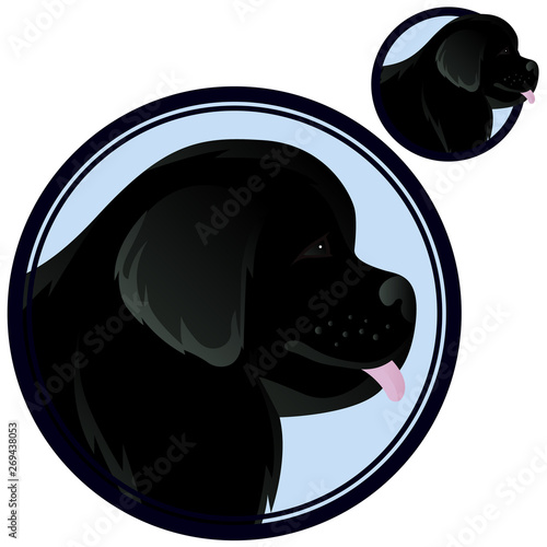 Newfoundland dog head in circle