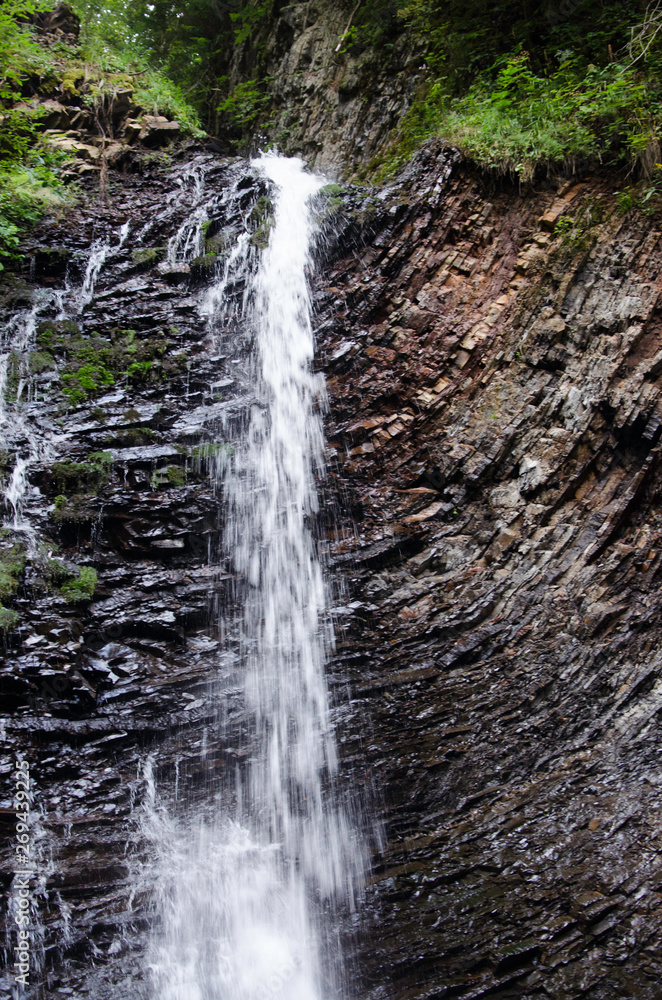 Obraz premium waterfall in forest