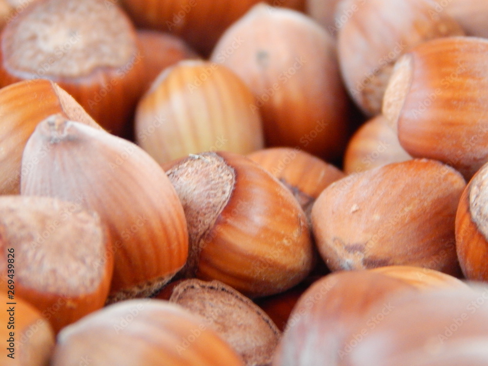 heap of hazelnuts isolated on white background heap of hazelnuts isolated on white background