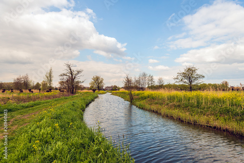 Natural stream in a rural Dutch landscape