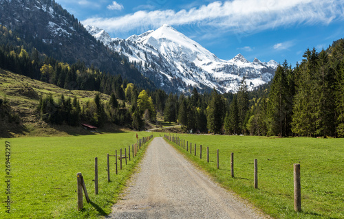 Weg durch das Stillachtal in den Allgäuer Alpen / Path through Stillachtal valley in Bavrian Alps