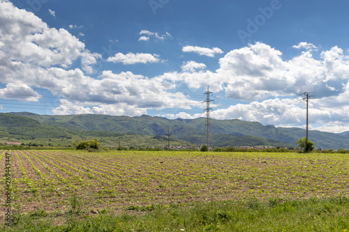 Rural Landscape with Upper Thracian Plain near town of Perushtitsa, Plovdiv Region, Bulgaria © Stoyan Haytov