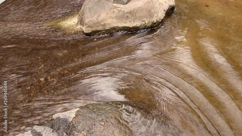 Close-up, Stream in nature, outdoor