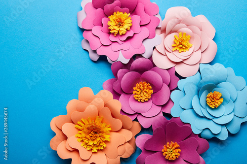 top view of colorful paper cut flowers in bloom on blue background