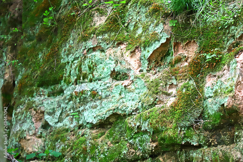 rocky cliff overgrown with moss