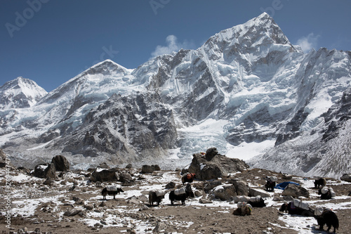 Everest Base Camp Trek