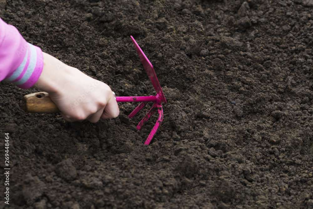 Gardening Tools in the hand on Soil Background. Spring Garden Works Concept