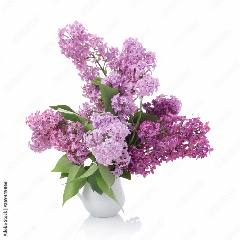 Bouquet of Lilacs in a Glass Vase isolated on white. Branch with Lilac Flowers. Bouquet of Lilacs in a Glass Vase isolated on white. Branch with Lilac Flowers.