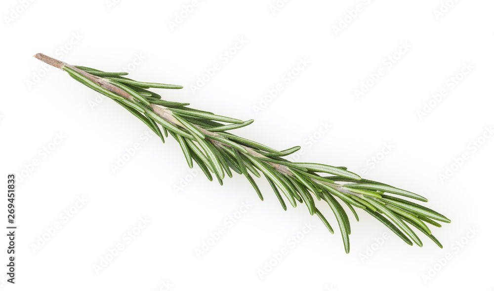 Fresh rosemary isolated on white background Fresh rosemary isolated on white background