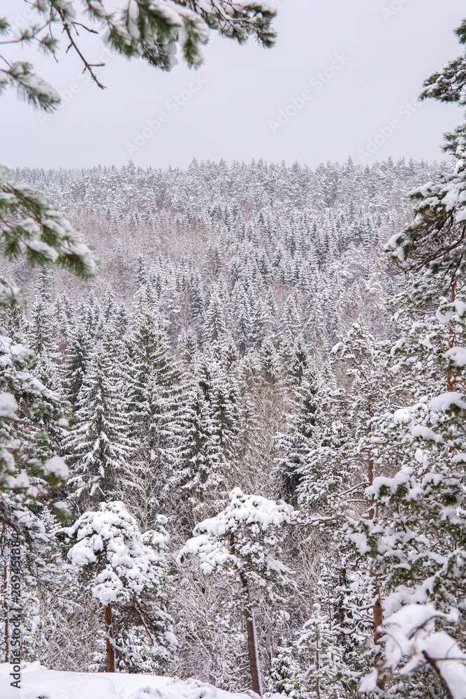 View to the winter forest, Nuuksio national park, Espoo, Finland View to the winter forest, Nuuksio national park, Espoo, Finland