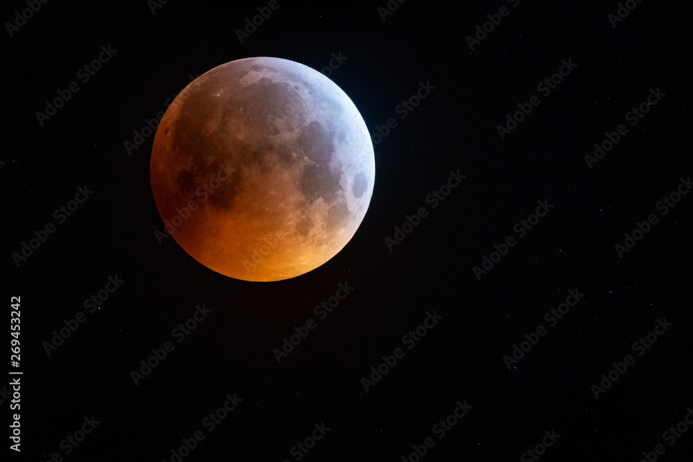 Fototapeta premium blood moon