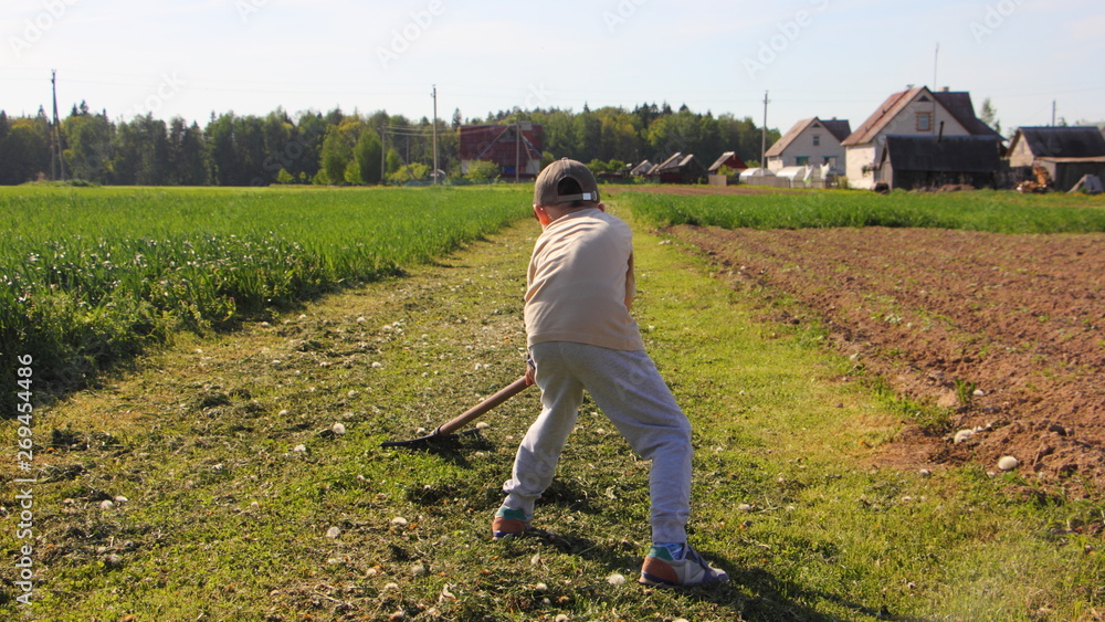 Little european farmer, young boy rakes to rake the mown green grass on a cottage yard on Sunny summer day - child labour, vacation on nature