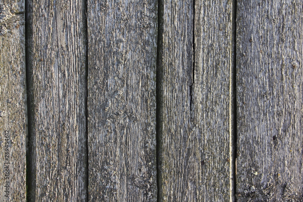 Gray weathered boards - vertical old wood texture background Gray weathered boards - vertical old wood texture background