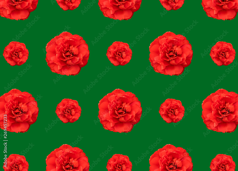 Colorful pattern of red tulips on a green background. Magnificent flower Colorful pattern of red tulips on a green background. Magnificent flower