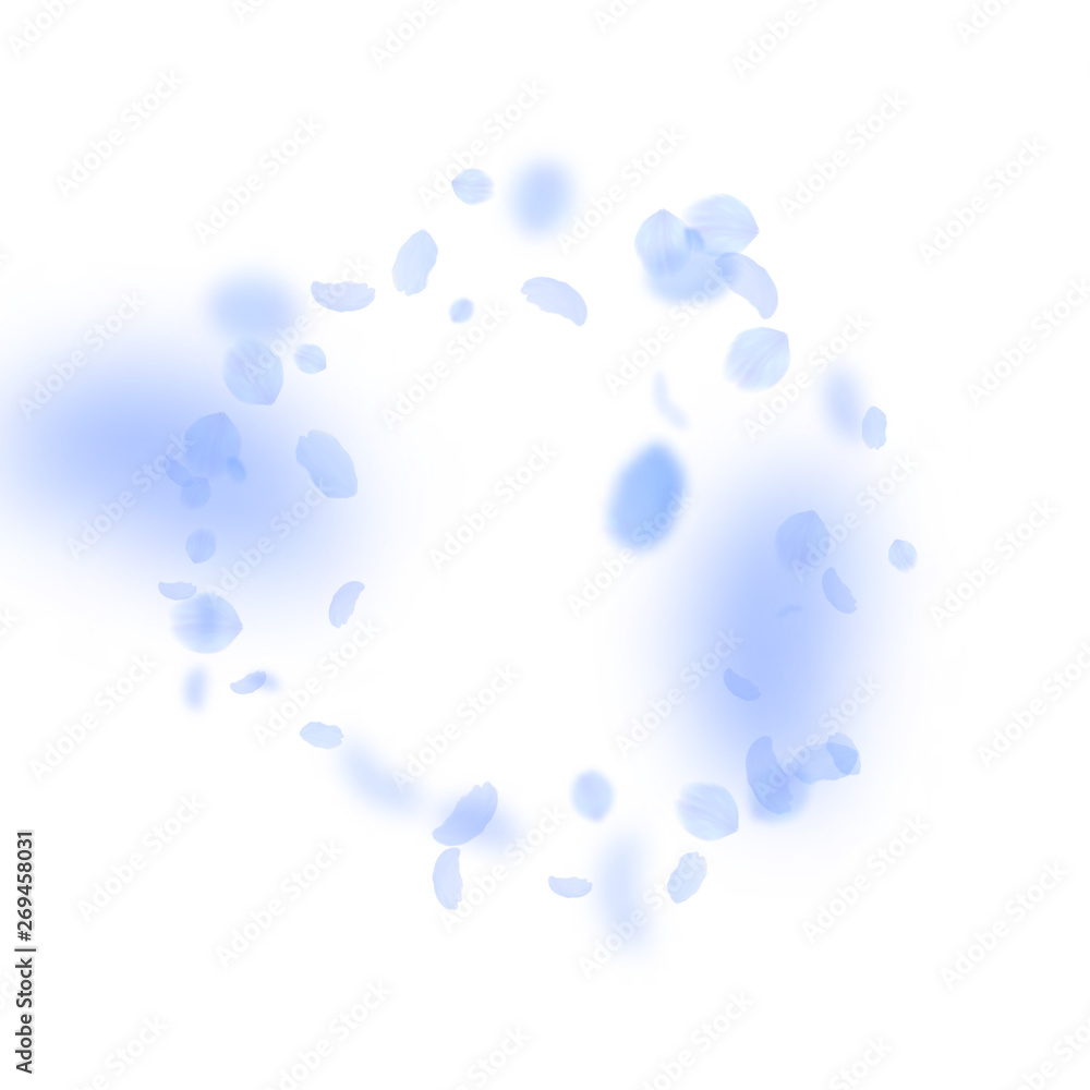 Dark blue flower petals falling down. Likable roma Dark blue flower petals falling down. Likable roma