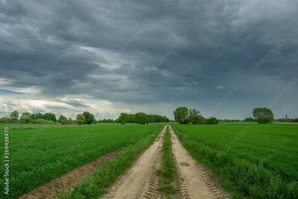 Dirt road through green fields, trees and rainy clouds