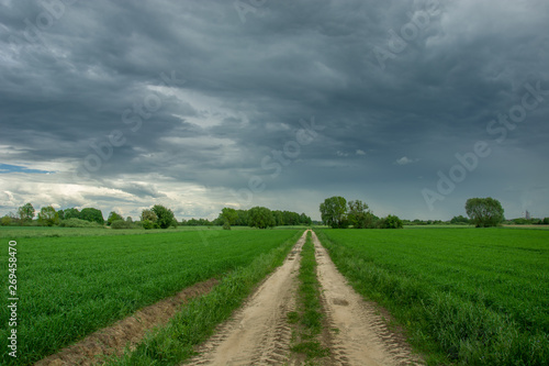 Dirt road through green fields  trees and rainy clouds