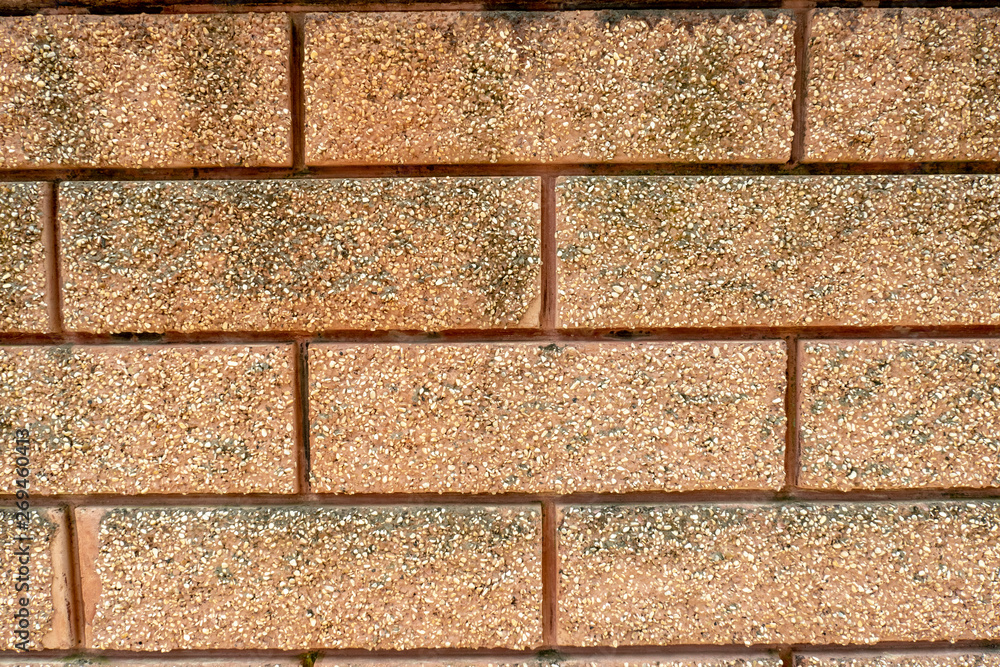 Fototapeta premium rough brick wall at a house