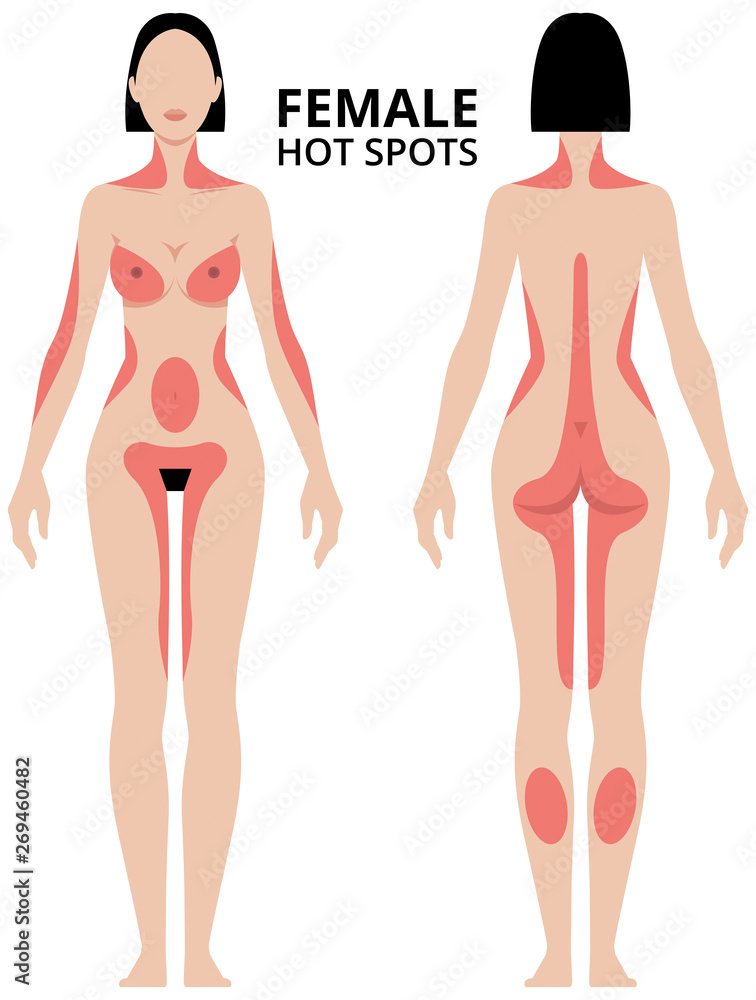 Vecteur Stock Vector illustration of female erogenous zones. Woman in full  length front and back view hot spots area of the body. | Adobe Stock