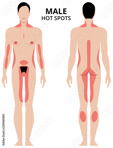 Vector illustration of male erogenous zones. Man in full length front and back view hot spots area of the body