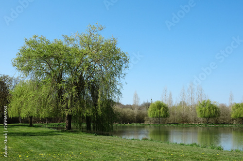 Etang du Roy à Montreuil Bonnin