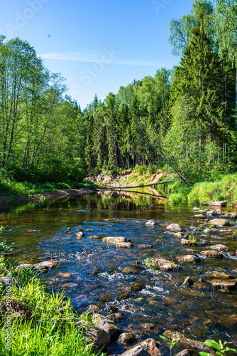 Fototapeta Naklejka Na Ścianę i Meble -  scenic river view landscape of forest rocky stream with trees on the shores