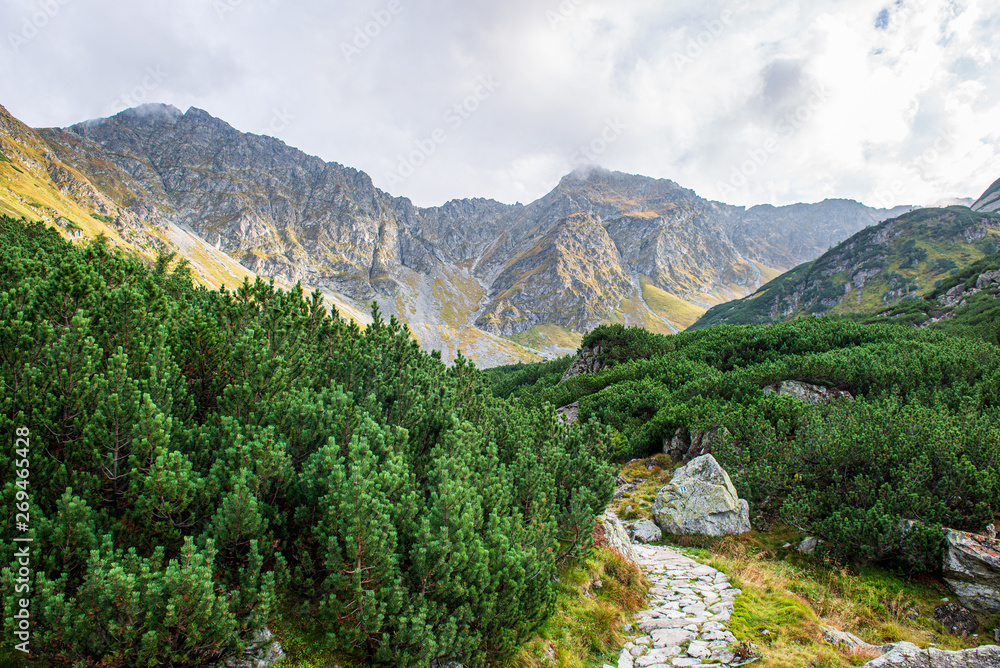 slovakia Tatra mountain tops in misty weather