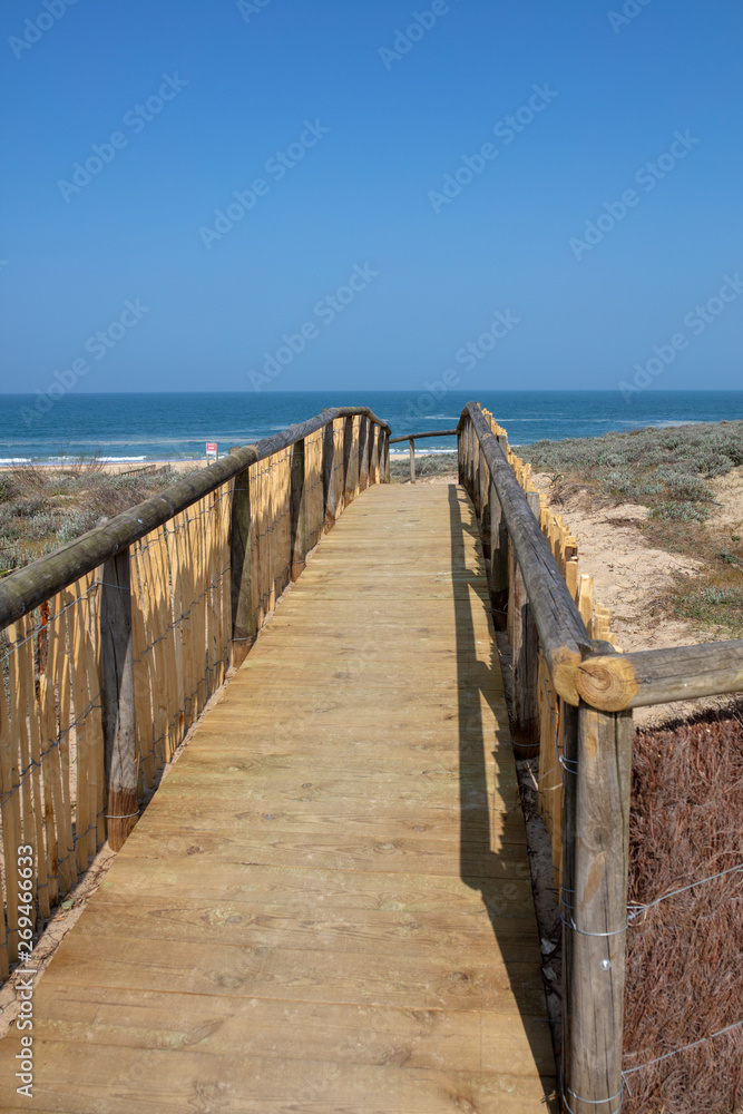 Fototapeta premium central beach of Hossegor Soorts France