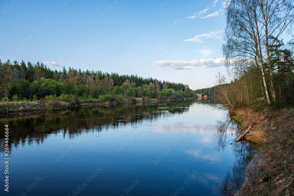 scenic river view landscape of forest rocky stream with trees on the shores