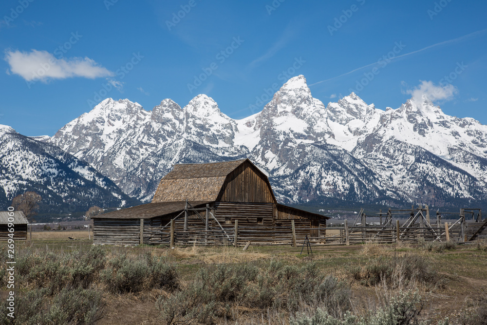 The landmark John Moulton barn in Mormon Row, Grand Teton National Park, Wyoming featuring the snowcapped Tetons. Taken in mid-May during the afternoon.