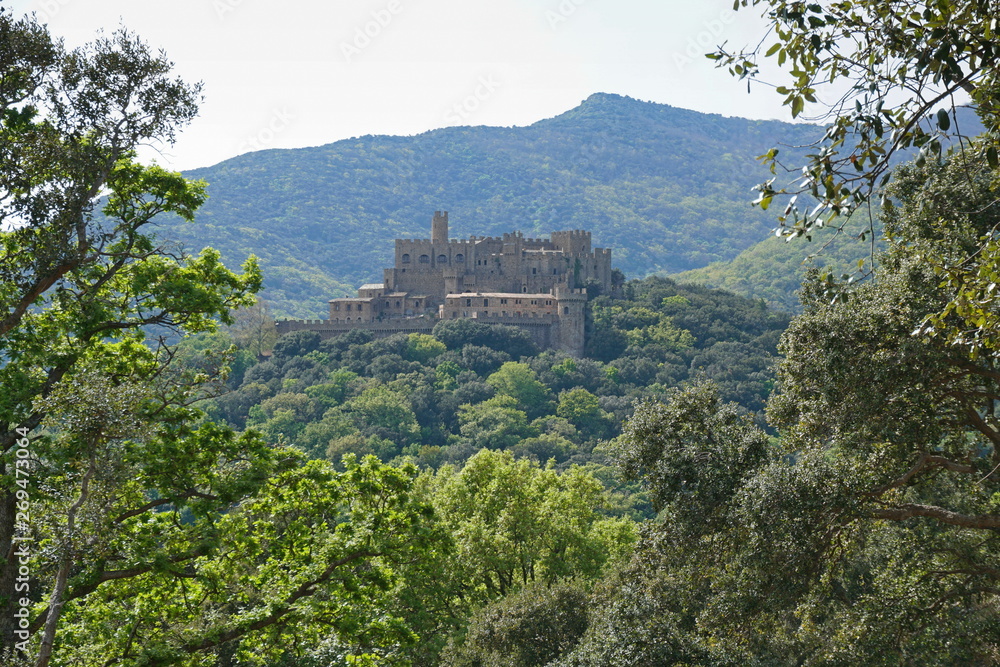 Requesens castle surrounded by forest, Albera massif, Alt Emporda, Girona province, Catalonia, Spain