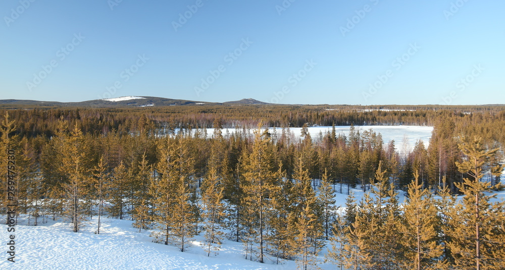 View over forest landscape near Granbergsliden in Lapland
