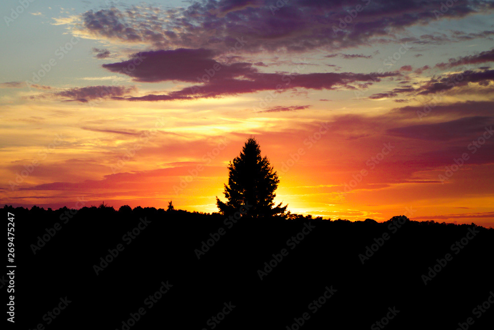 Fototapeta premium Sunset in Orillia