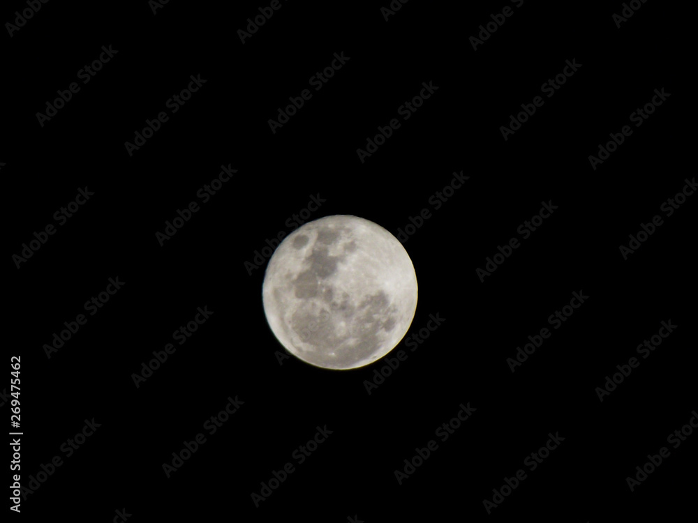 Moon Moon