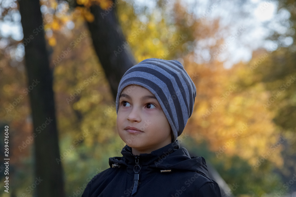 portrait of a little boy in the autumn Park portrait of a little boy in the autumn Park