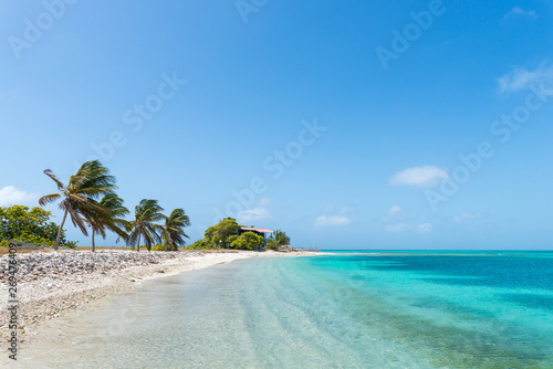 Fototapeta Naklejka Na Ścianę i Meble -  Beautiful Caribbean beach, in Los Roques Archipelago, Venezuela
