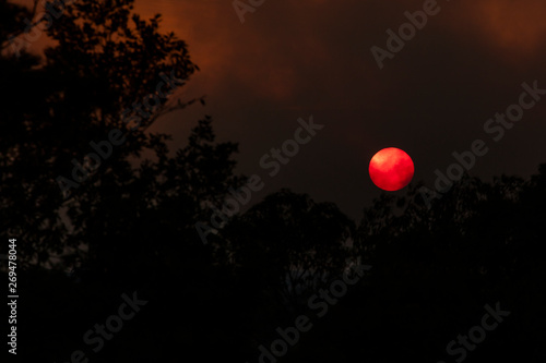 The sun shrouded in the smoke of a large bush fire in The Blue Mountains.