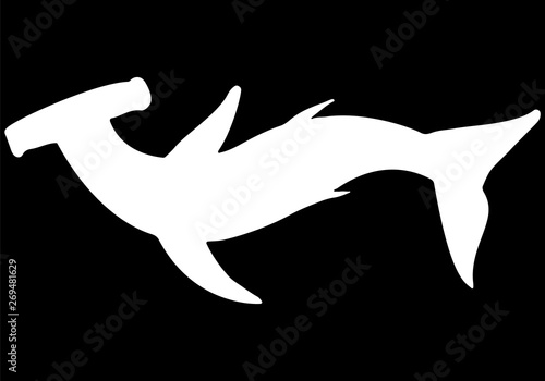 Abstract hand drawn giant hammer shark silhouette isolated on black background. Vector illustration. Outline. Line art. Top view