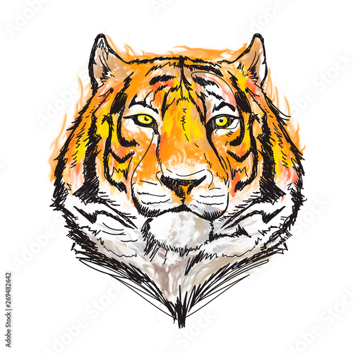 Fototapeta Naklejka Na Ścianę i Meble -  awesome tiger watercolor vector illustration