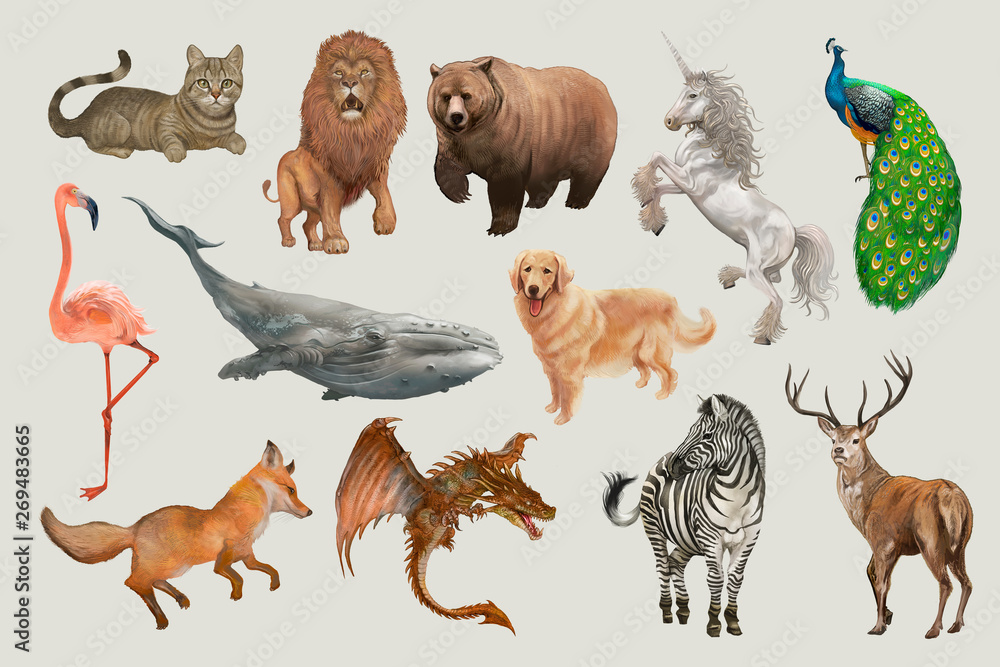 Obraz premium Hand drawn animals and creatures