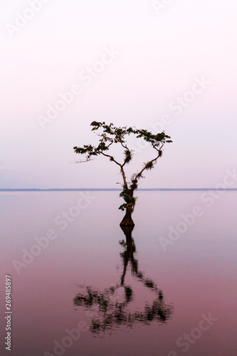 Sunrise in the lake photo