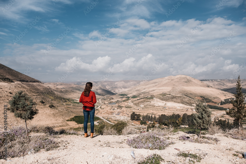 Rear view of unrecognizable woman watching landscape of desert of Jordan, Asia