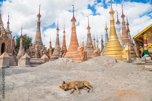 A dog sleeping in front of Nyaung Ohak pagodas the group of ancient pagodas in Indein village West of Inle Lake, Myanmar.  photo