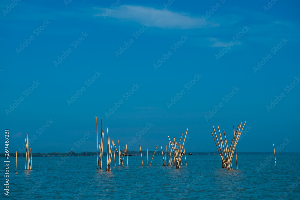Bamboo prick in the sea is one of the tools in fishing in Thailand. Bamboo prick in the sea is one of the tools in fishing in Thailand.